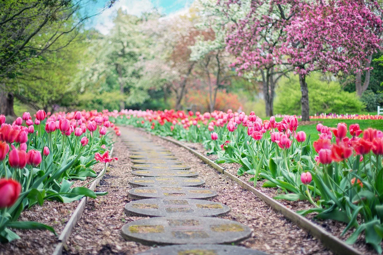 jardin pierre