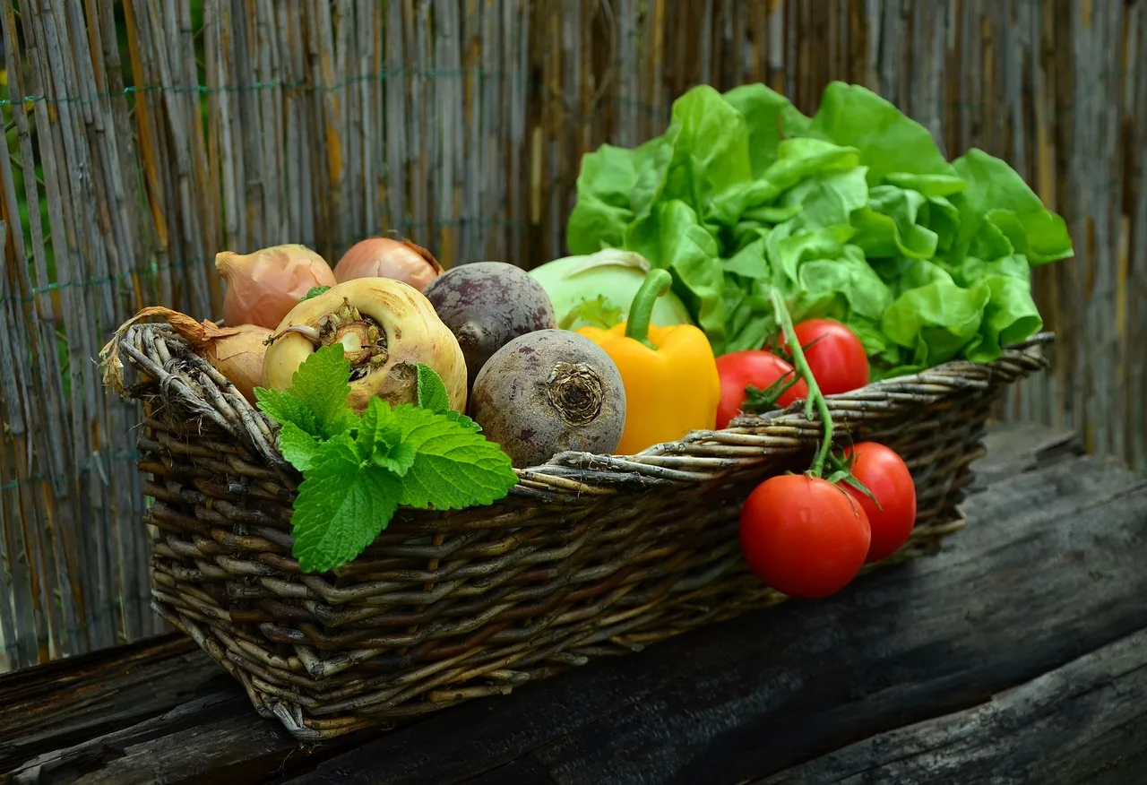 légumes jardin