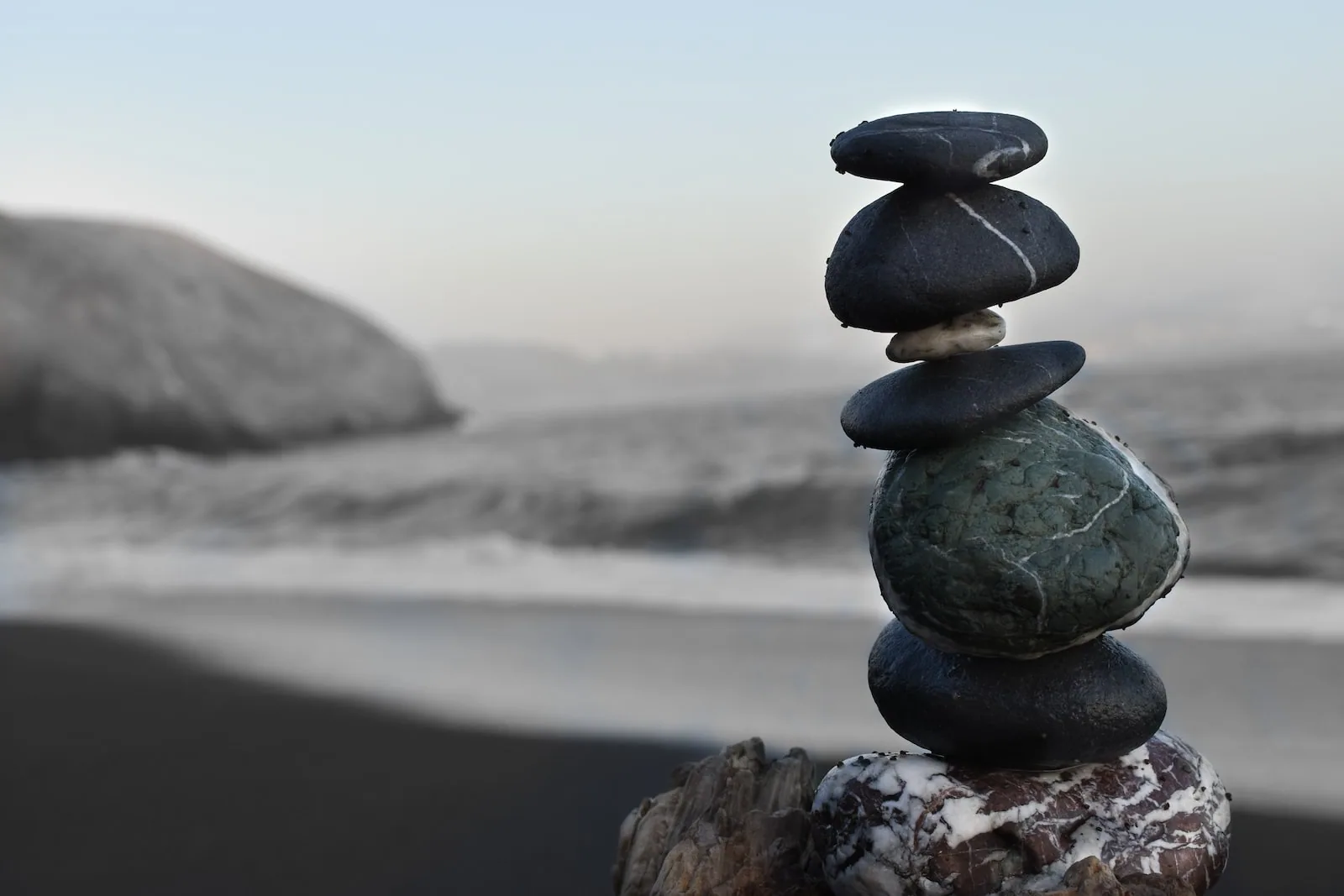 le zen