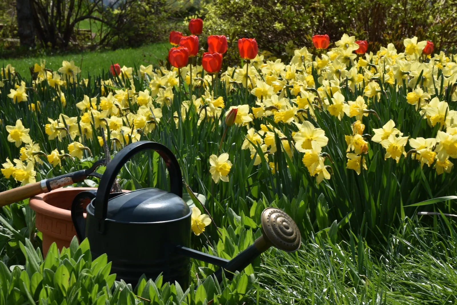 jardinage