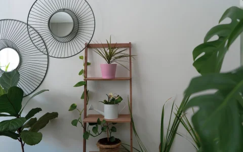 Abri de piscine design : élégance et fonctionnalité conjuguées