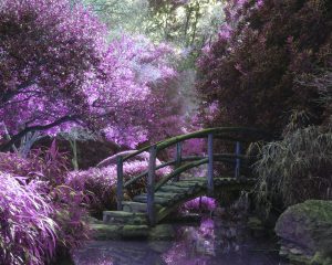 Qu&rsquo;est-ce qui caractérise un jardin japonais ?