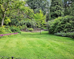 Comment utiliser les pierres pour concevoir un jardin élégant ?