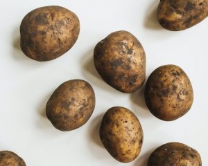 Cultiver des pommes de terre Bintje : Les meilleures pratiques