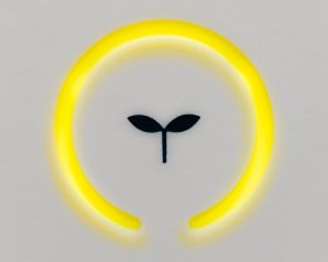 Comment concevoir une cuisine écologique ?